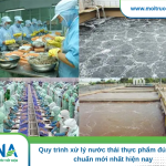 Quy trình xử lý nước thải thực phẩm đúng tiêu chuẩn mới nhất hiện nay xử lý nước thải thực phẩm