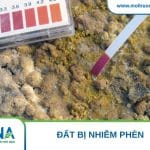 Đất bị nhiễm phèn - Dấu hiệu nhận biết và cách cải tạo hiệu quả 1 (1)