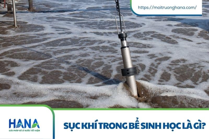 Có cần duy trì sục khí trong bể sinh học dịp nghỉ Tết? Giải đáp chi tiết cho doanh nghiệp 2 Bể sinh học hiếu khí