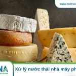 Xử lý nước thải nhà máy phô mái với quy trình 5 bước đạt chuẩn xả thải Xử lý nước thải nhà máy phô mai