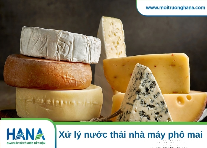 Xử lý nước thải nhà máy phô mái với quy trình 5 bước đạt chuẩn xả thải 1 Xử lý nước thải nhà máy phô mai