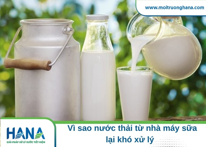 xử lý nước thải nhà máy sữa