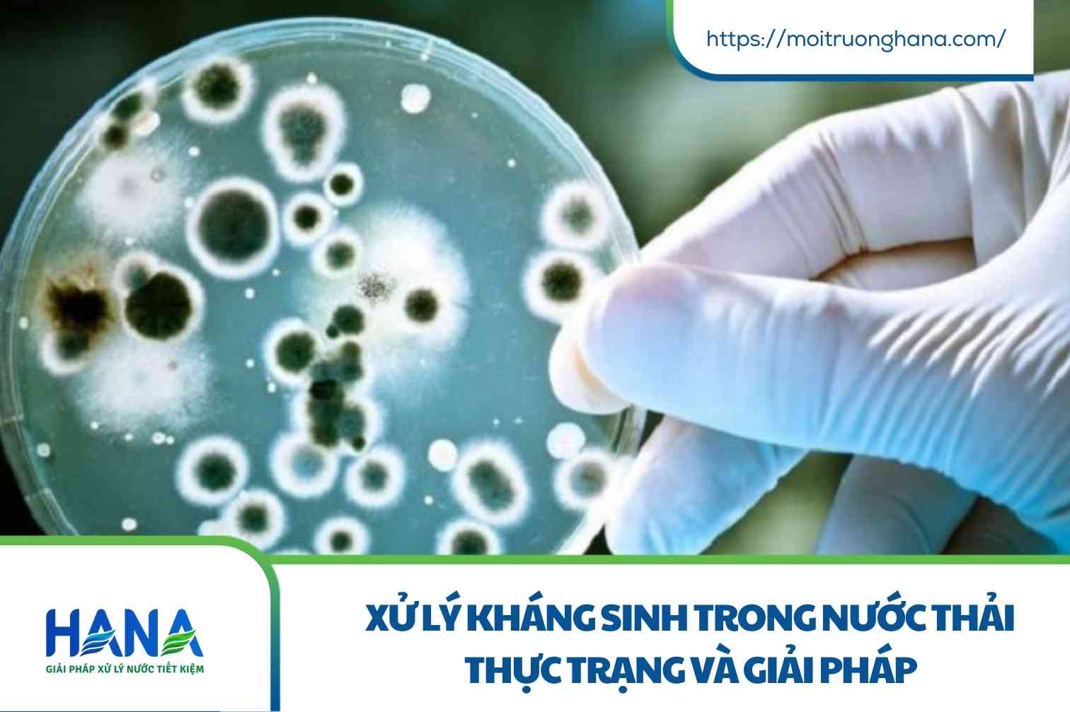Xử Lý Kháng Sinh Trong Nước Thải