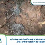 Hệ thống xử lý nước thải bị mùi – Nguyên nhân, ảnh hưởng và giải pháp hiệu quả Hệ thống xử lý nước thải bị mùi