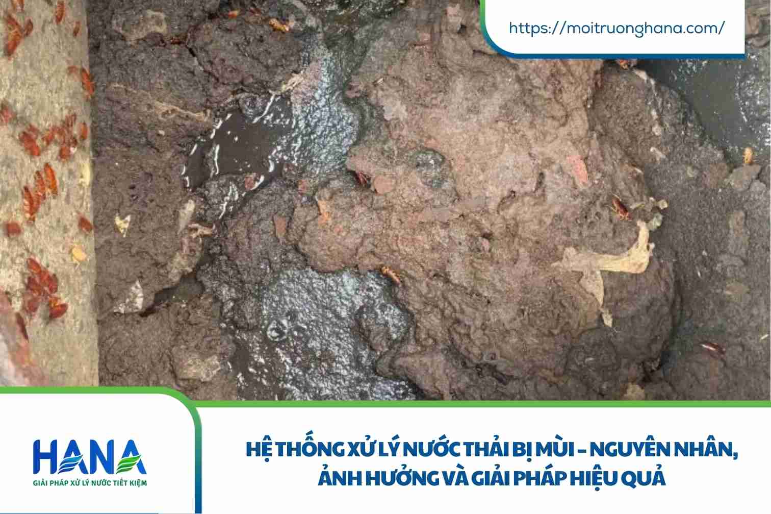 Hệ thống xử lý nước thải bị mùi