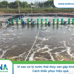 Vì sao xử lý nước thải thủy sản gặp khó khăn? Cách khắc phục hiệu quả xử lý nước thải thủy sản