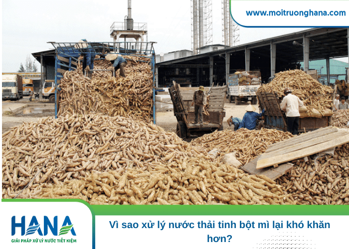 Vì sao xử lý nước thải tinh bột mì lại khó khăn hơn? 1 xử lý nước thải tinh bột mì