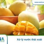 xử lý nước thải xoài