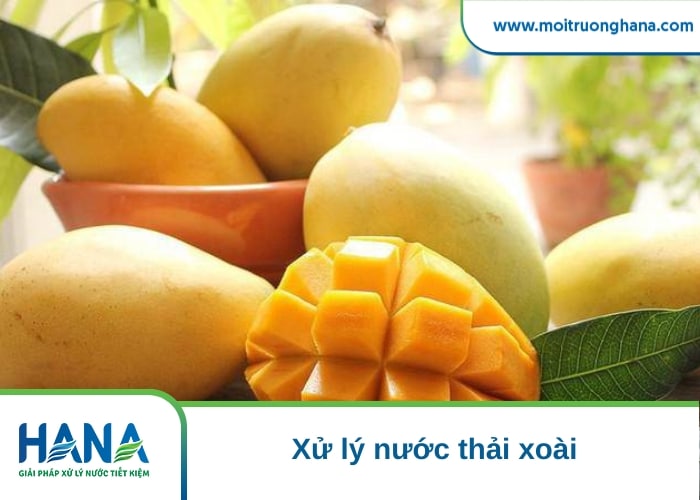 xử lý nước thải xoài