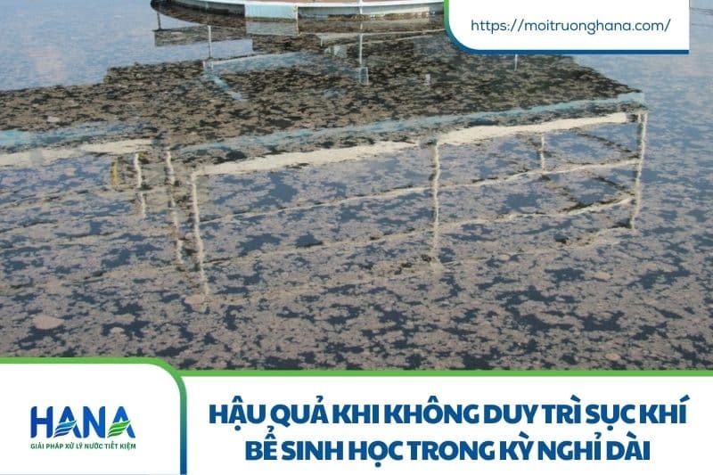 Có cần duy trì sục khí trong bể sinh học dịp nghỉ Tết? Giải đáp chi tiết cho doanh nghiệp 3 Bùn vi sinh bị chết “ngạt”