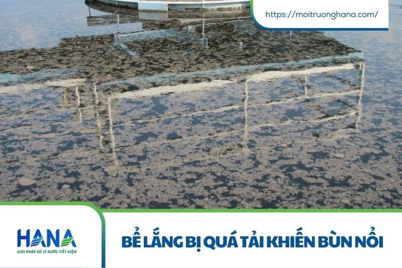Bùn nổi ở bể lắng – Nguyên nhân, hậu quả và giải pháp xử lý hiệu quả 3 Bể lắng bị quá tải khiến bùn nổi