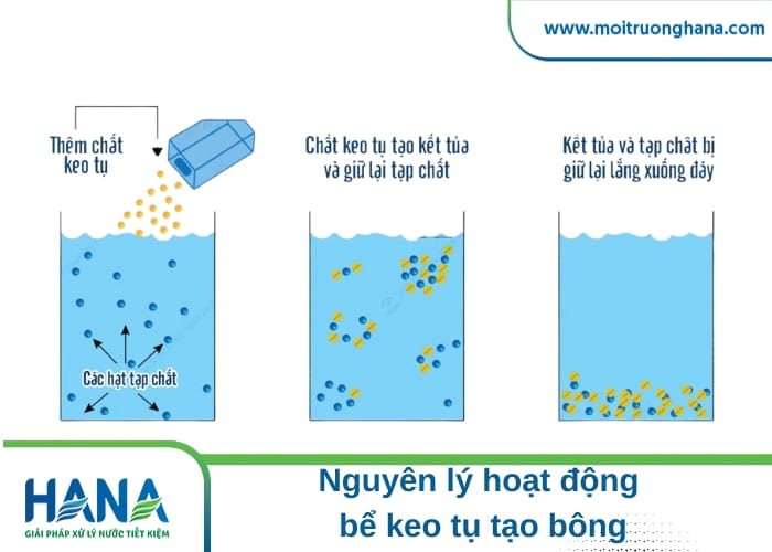 keo tụ tạo bông