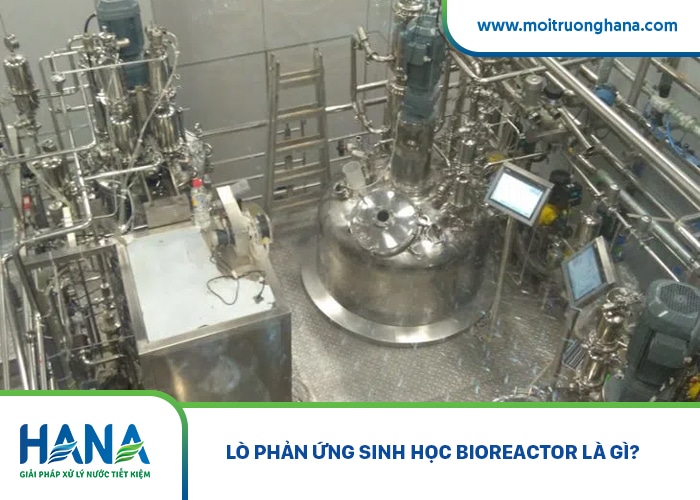 Lò phản ứng sinh học Bioreactor là gì?