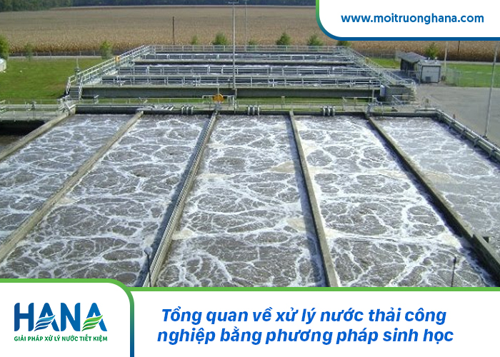 Tổng quan về xử lý nước thải công nghiệp bằng phương pháp sinh học