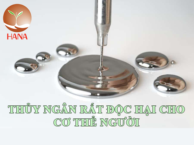 thuy ngan rat doc hai