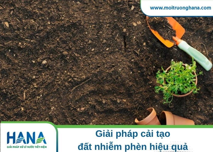Đất bị nhiễm phèn - Dấu hiệu nhận biết và cách cải tạo hiệu quả 4 đất nhiễm phèn