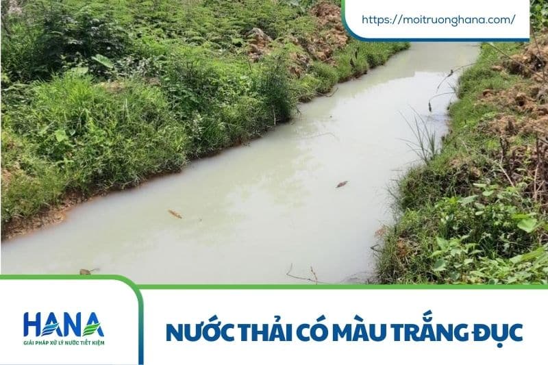 Nước thải có màu đục, đen hoặc nâu – Nguyên nhân, tác hại & giải pháp xử lý hiệu quả 4 Nước thải có màu trắng đục