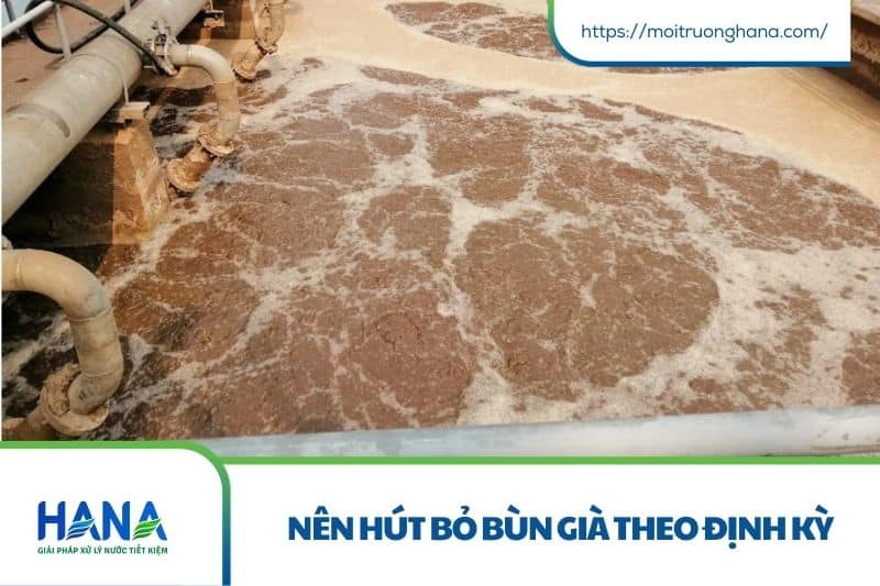Bùn nổi ở bể lắng – Nguyên nhân, hậu quả và giải pháp xử lý hiệu quả 4 Nên hút bỏ bùn già theo định kỳ