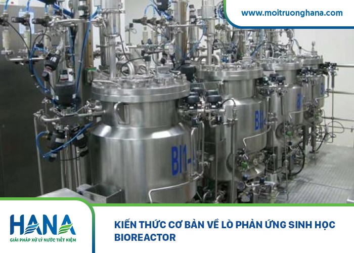 Kiến thức cơ bản về lò phản ứng sinh học Bioreactor