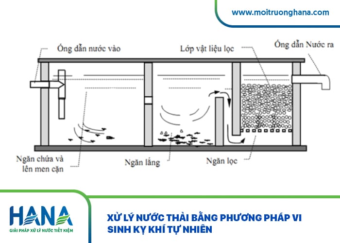 Xử lý nước thải bằng phương pháp vi sinh kỵ khí tự nhiên