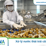 xử lý nước thải trái cây