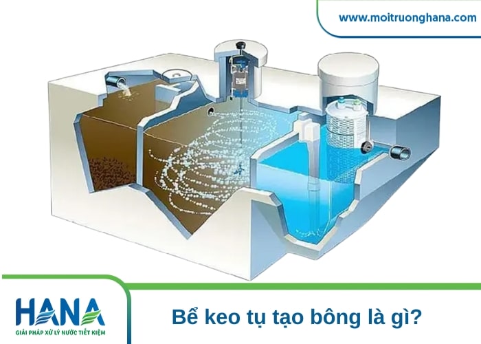 keo tụ tạo bông
