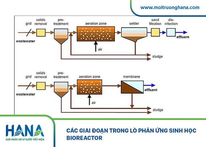 Các giai đoạn trong lò phản ứng sinh học Bioreactor