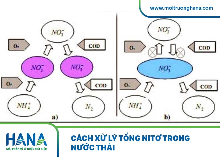 Cách xác định hàm lượng nitơ