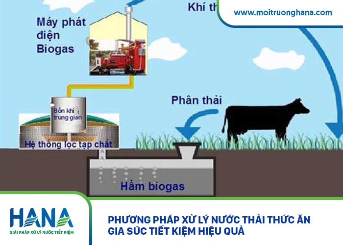 Phương pháp xử lý nước thải thức ăn gia súc tiết kiệm hiệu quả