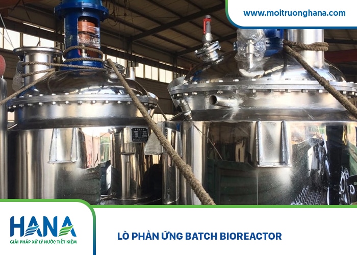 Lò phản ứng Batch Bioreactor