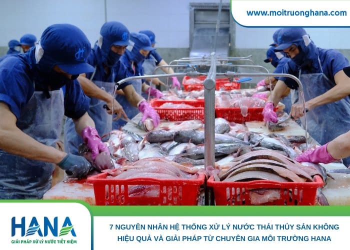 Nguyên nhân hệ thống xử lý nước thải thủy sản không hiệu quả và giải pháp từ chuyên gia môi trường HANA