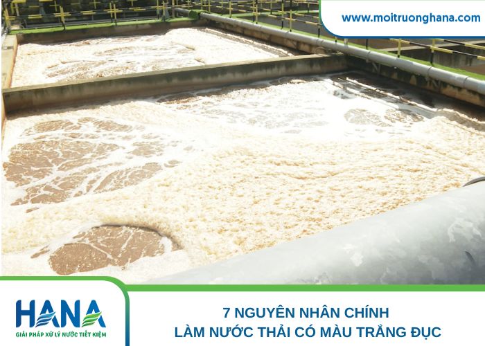 7 nguyên nhân chính làm nước thải có màu trắng đục