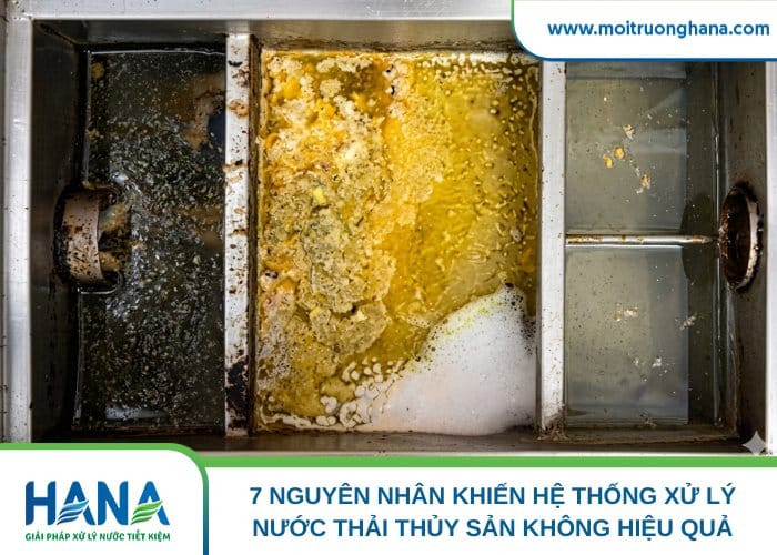 Dầu mỡ chưa được xử lý tốt