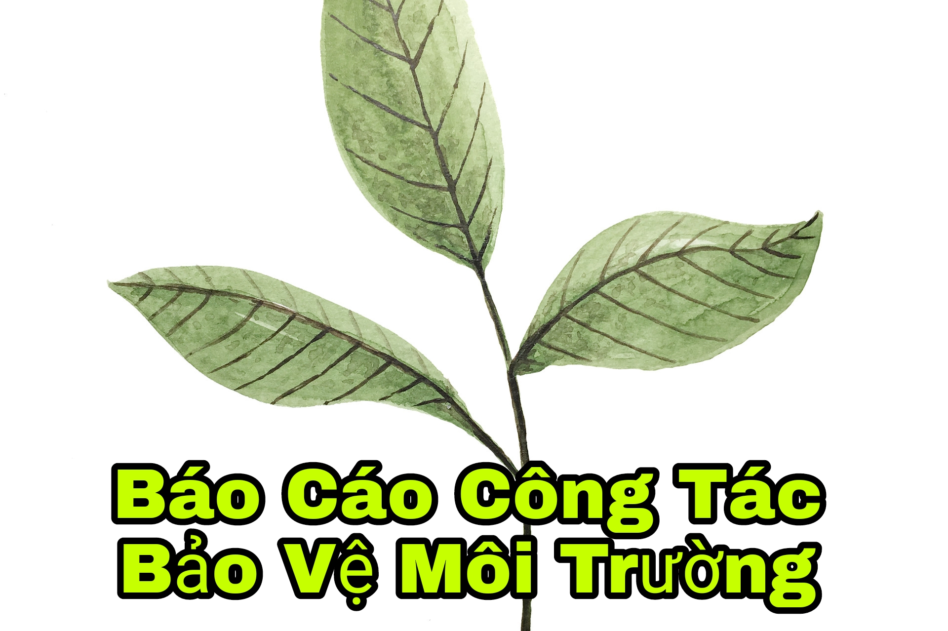 Bao cao cong tac bao ve moi truong