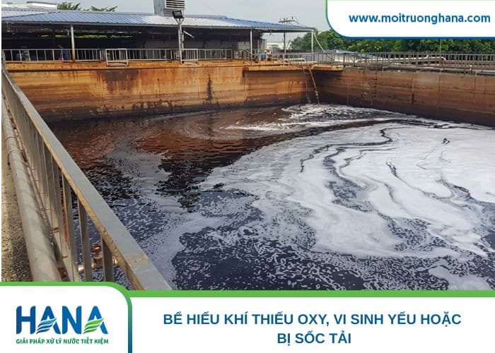 Bề mặt bể nổi váng
