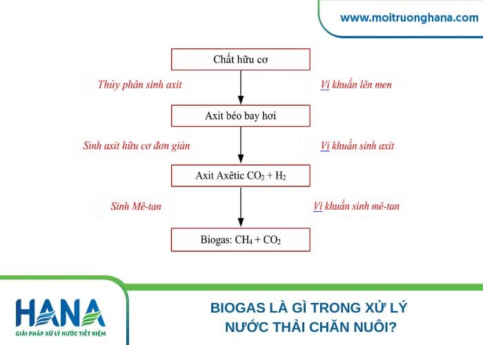 Nguyên lý hoạt động của hầm Biogas
