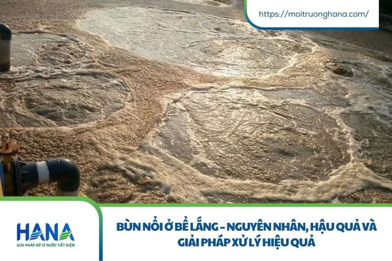 Bùn nổi ở bể lắng – Nguyên nhân, hậu quả và giải pháp xử lý hiệu quả 1 Bun noi o be lang – Nguyen nhan hau qua va giai phap xu ly hieu qua