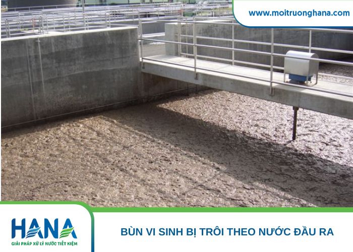 Bùn trương nở trong bể