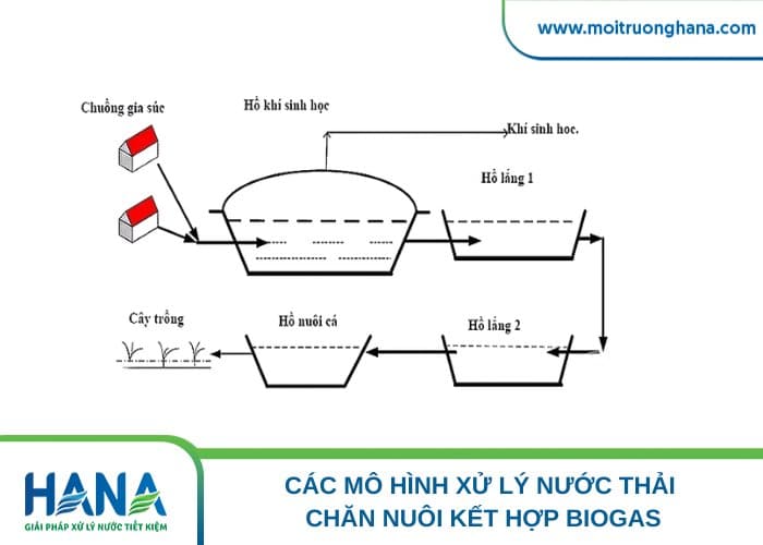 Mô hình Biogas kết hợp với hồ sinh học