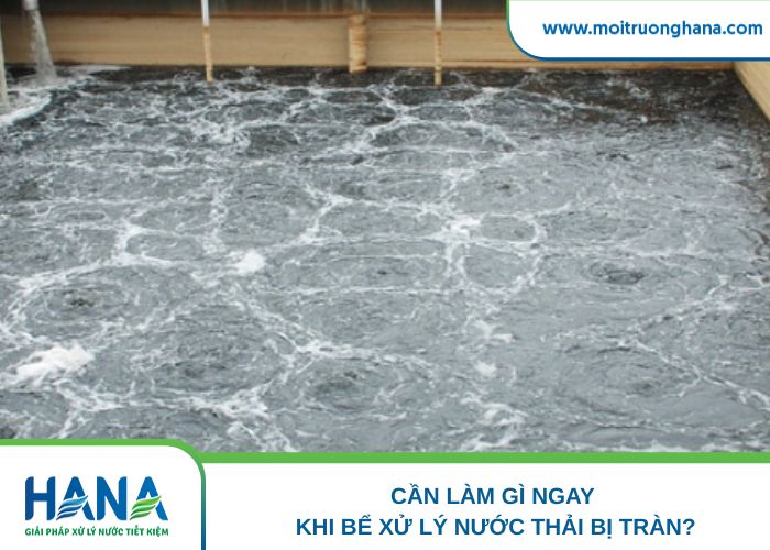 Cần làm gì ngay khi bể xử lý nước thải bị tràn?