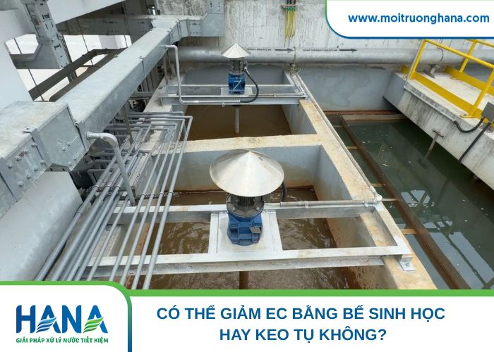 Có thể giảm EC bằng bể sinh học hay keo tụ không