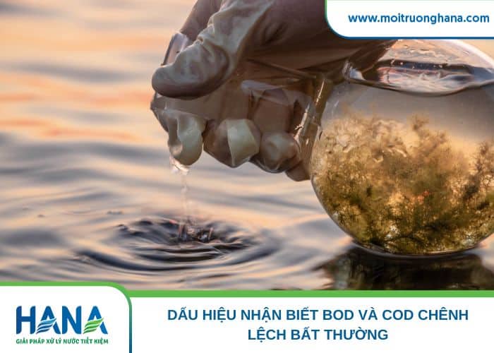 COD đầu vào cao, BOD thấp