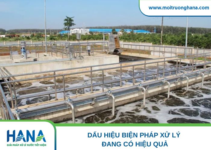 Dấu hiệu biện pháp xử lý đang có hiệu quả