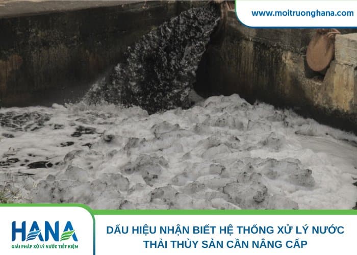 Nước thải mang theo mùi hôi phát tán khắp khu vực
