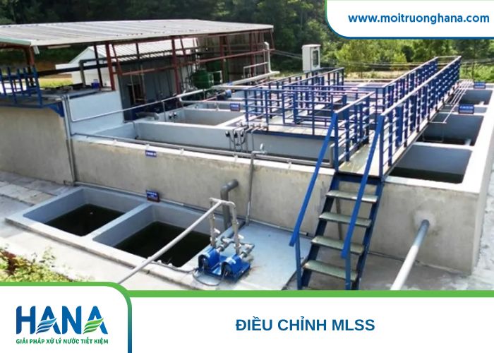 Điều chỉnh MLSS