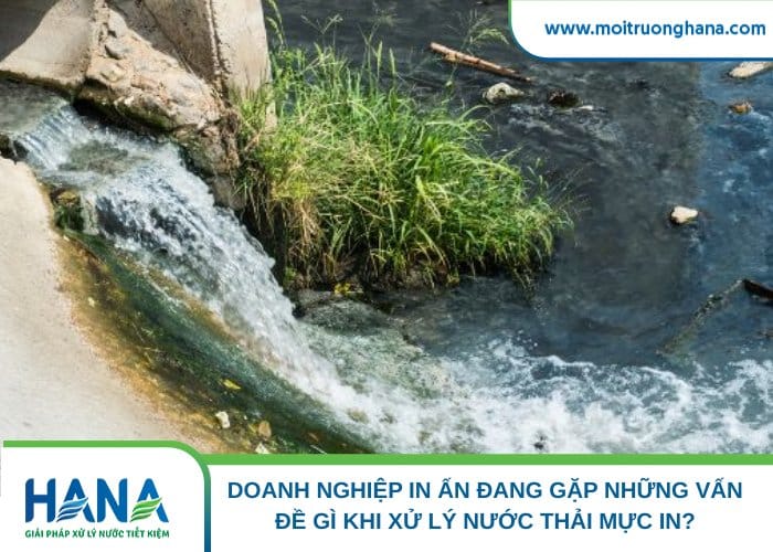 Nước thải sau khi xử lý vẫn có màu đục