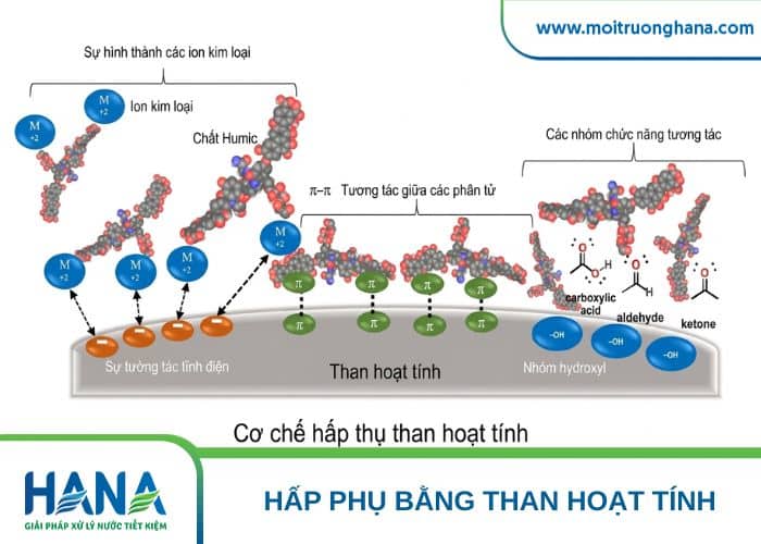 Cơ chế hấp thụ than hoạt tính