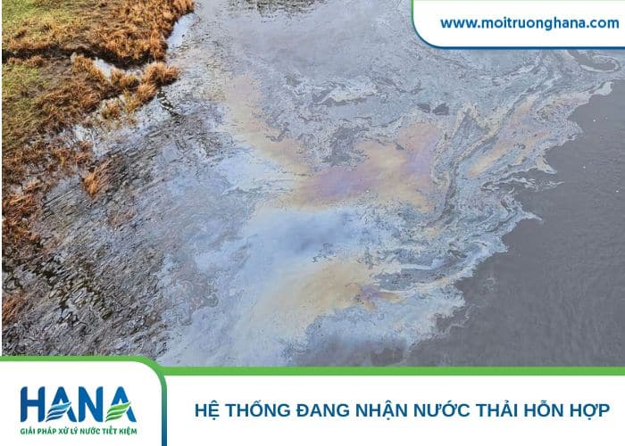 Nước thải hỗn hợp từ nhiều nguồn đổ về