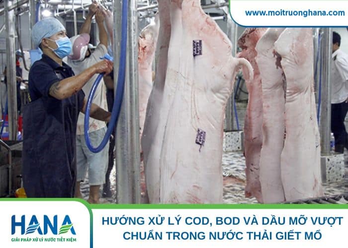 Nên kiểm soát thu gom ô nhiễm ngay tại đầu nguồn