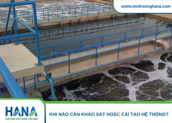 Cần cải tạo lại hệ thống khi Amoni vượt chuẩn thường xuyên